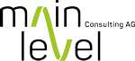 mainlevel consulting